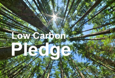 Low carbon forest