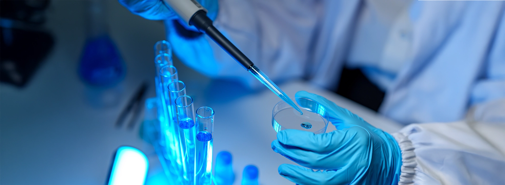 Person with blue gloves injecting a substance into a petri dish. Out of focus is blue test tubes