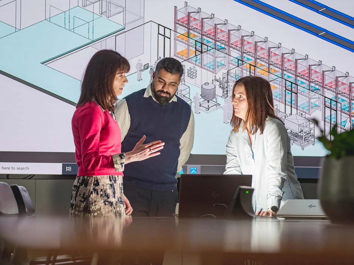 We Help You Optimize Your Processes Feature