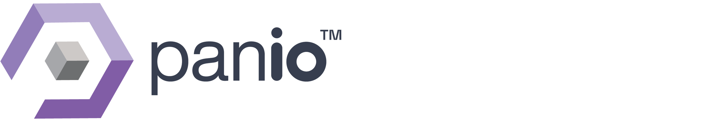 Panio logo