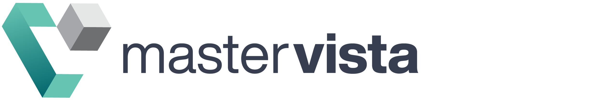MasterVista logo